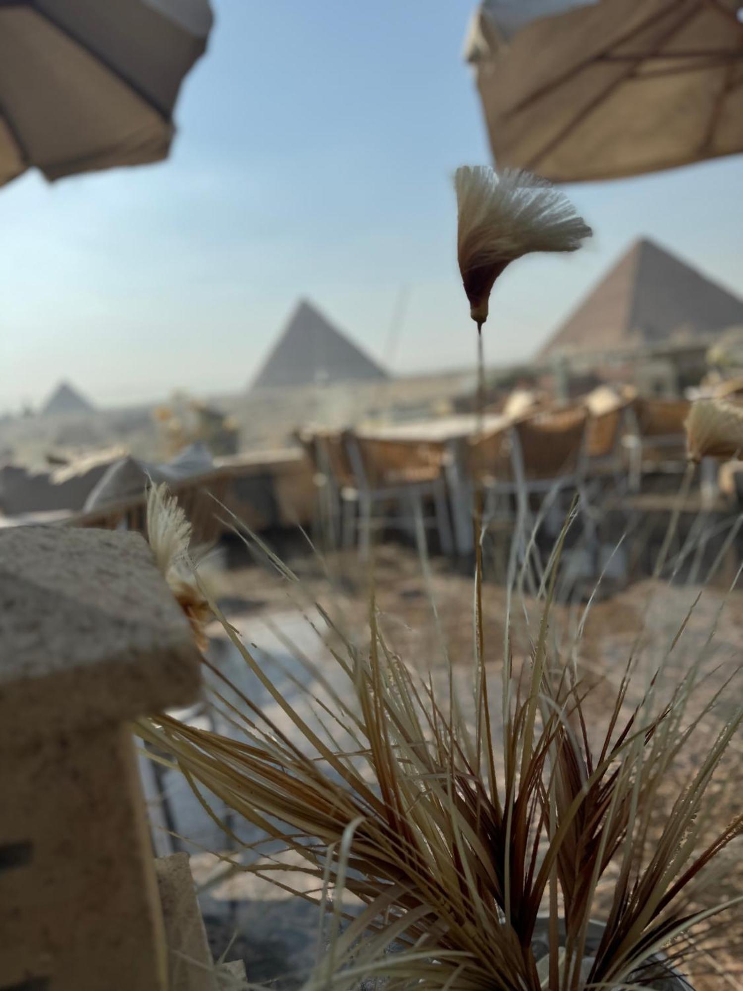 Pyramids And Sphinx Magic Hotel